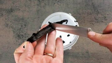 Vanillezucker selber machen ohne Zucker: Herauskratzen