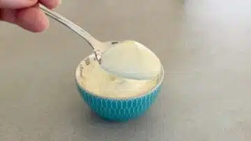 Gesunde Mayonnaise aus gekochten Eiern: Kühlen