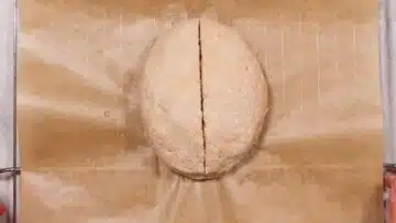 Low Carb Hüttenbrot mit Hüttenkäse: Backen