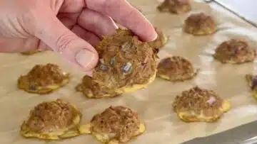 Low Carb Thunfischfrikadellen Airfryer