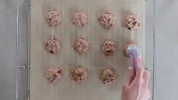 Low Carb Thunfischfrikadellen: Formen